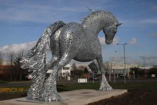 Andy Scott's horse at Belvedere