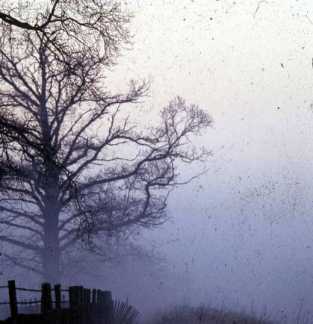 Taken in 1981